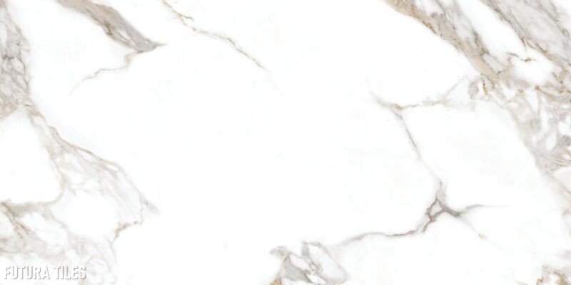 Carrara size :60 x120